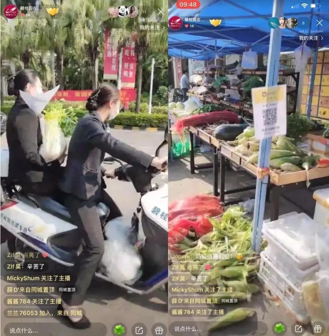 2020年佛山房地产销售排行榜,佛山碧桂园开发商排名