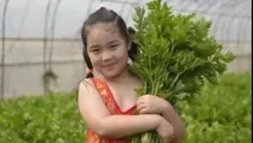 在大连去旅顺华酝牡丹园坐什么车,大连旅顺华酝牡丹园几月份适合去