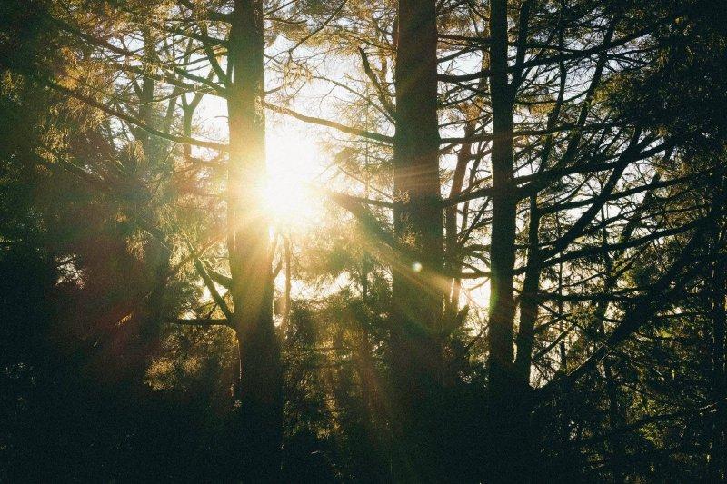 thenorthface登山徒步鞋,thenorthface防水鞋视频