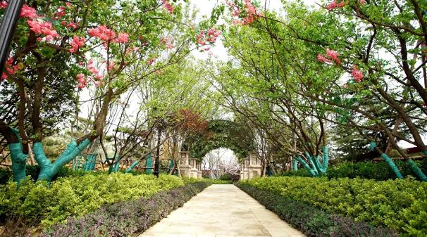 上千大片带你看尽恒大绝美园林,恒大园林实景