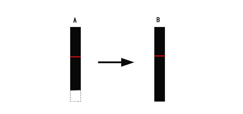萝莉教你长高,萝莉进阶教学