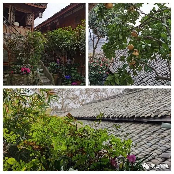 oneday生活,阆中古城2018