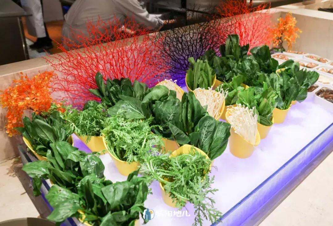 人均不到300的自助餐厅四星级酒店,海鲜自助高性价比酒店推荐