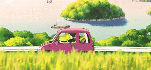 京郊最美的十大花海,京郊这些浪漫花海惊艳初秋的北京