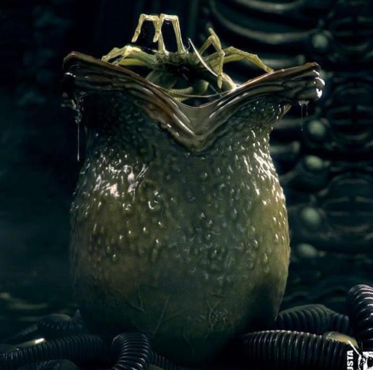 寮傚舰vs閾佽鎴樺+娣卞害瑙h,涔愰珮閾佽鎴樺+vs寮傚舰