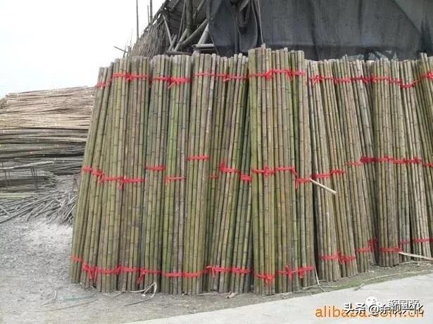 兴化沙沟老字号——张锦贵竹厂