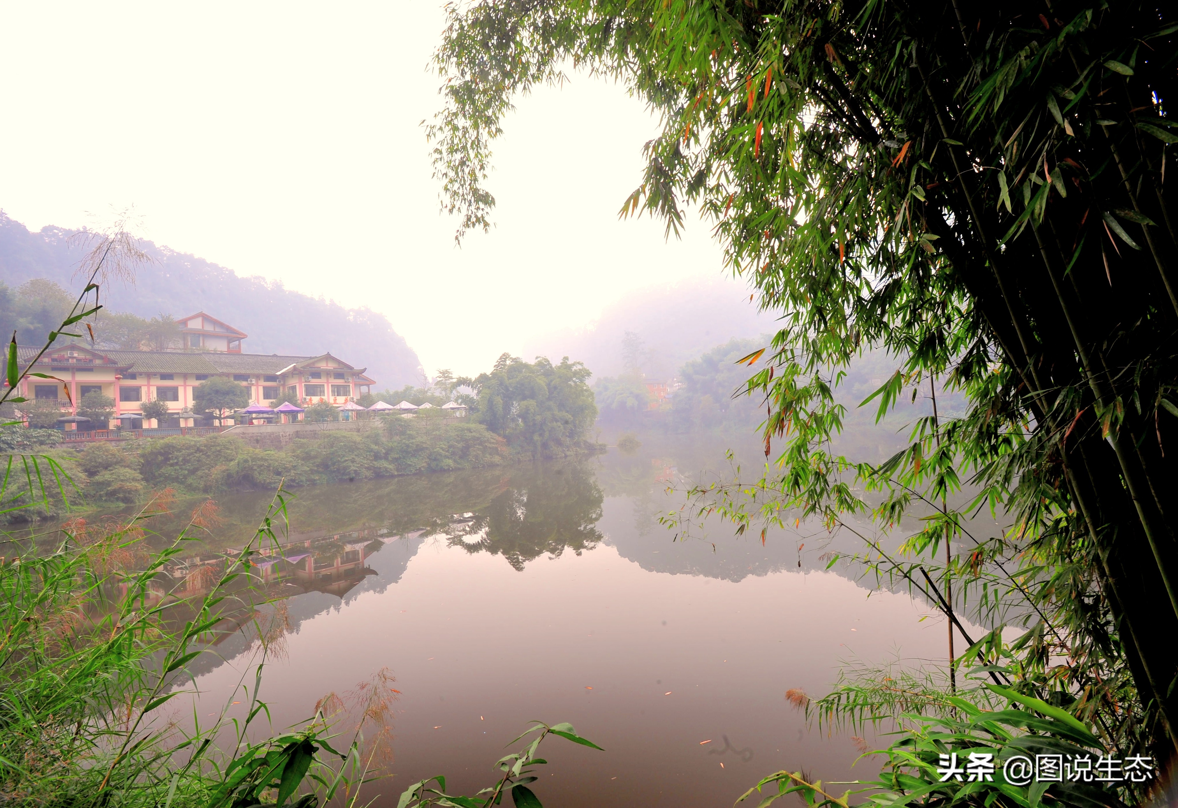 登上峨眉山金顶看风景,峨眉山日出云海佛光圣灯照片