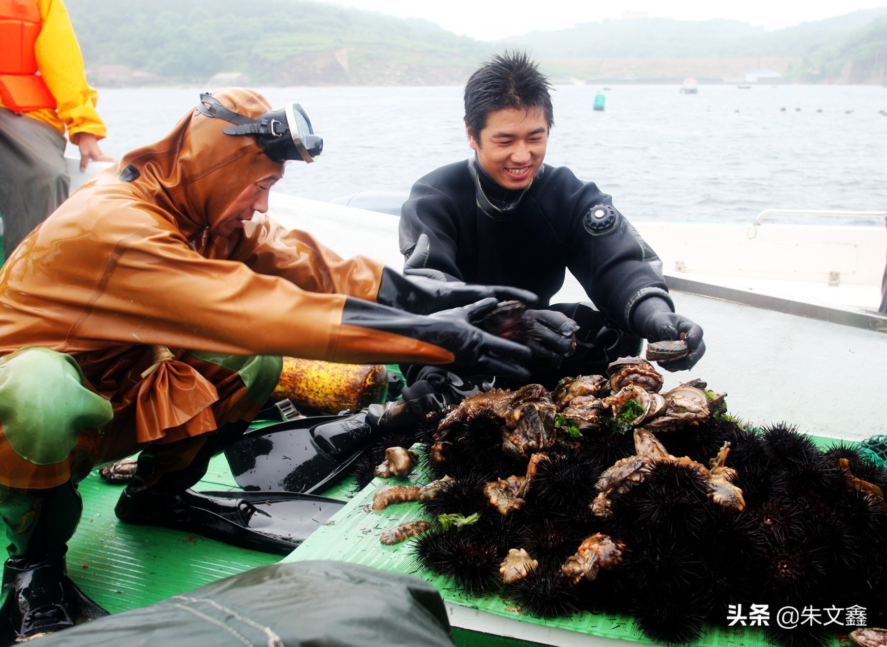 獐子岛海鲜品质是全国最好吗,獐子岛海鲜有什么