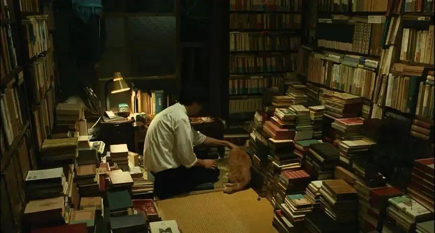 言语逻辑填空到底怎么学,语言课如何教方位