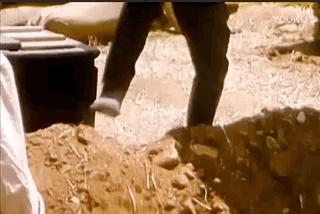 被雪藏5年的国产佳片,2021年之后口碑炸裂的国产佳片