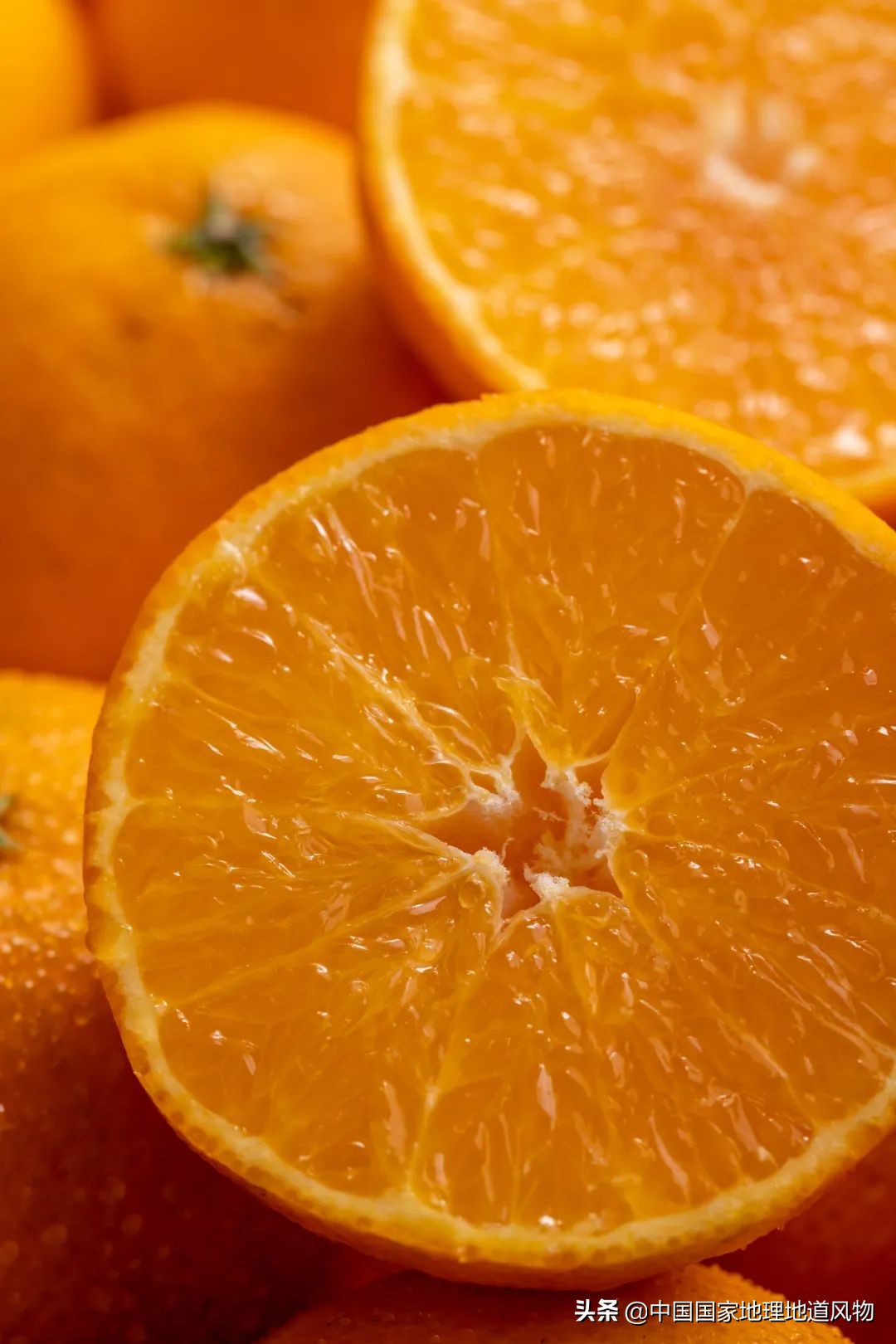 真正的果冻橙到底是皮薄还是厚,什么样的果冻橙好吃