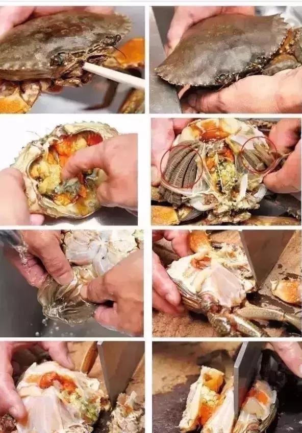 海鲜清洗大全每个都实用到爆,海鲜美食清洗法大全