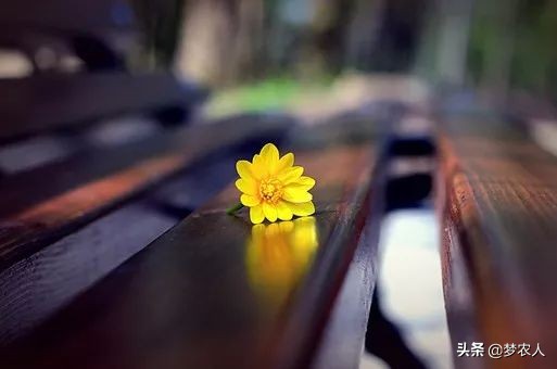 你怎么放进去,我就怎么拿出来