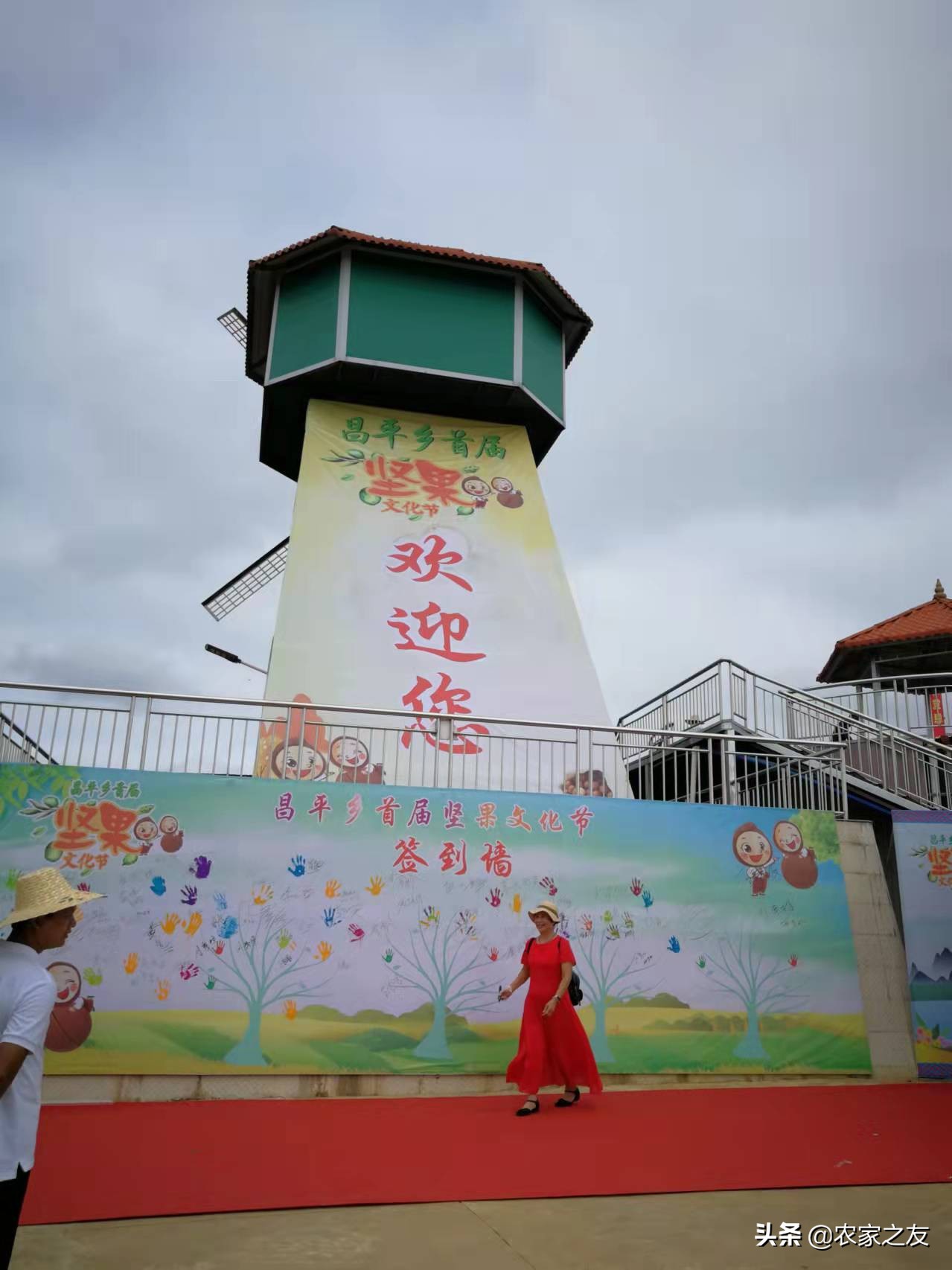 扶绥县昌平坚果苗,扶绥昌平坚果种植基地