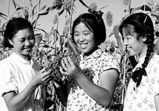 百年美女变化史,中国美女标准千年变迁史