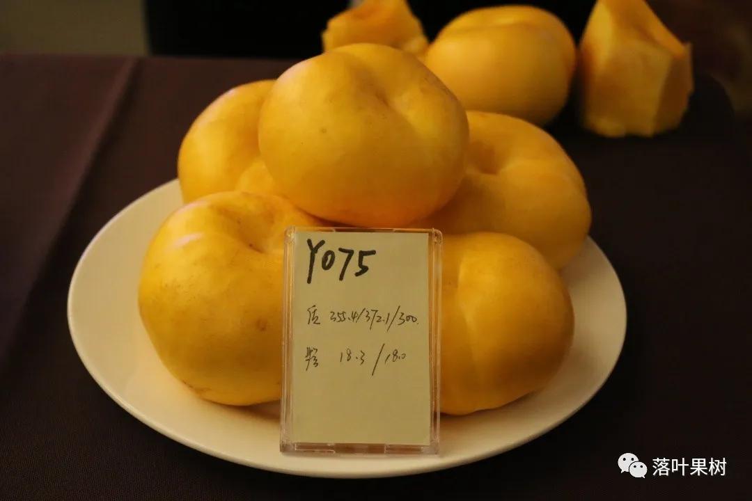 中国桃产业转型升级,桃产业转型升级的思考