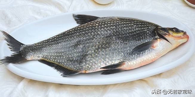 大厨教你做秘制鱼的做法,秘制鱼最正宗的做法
