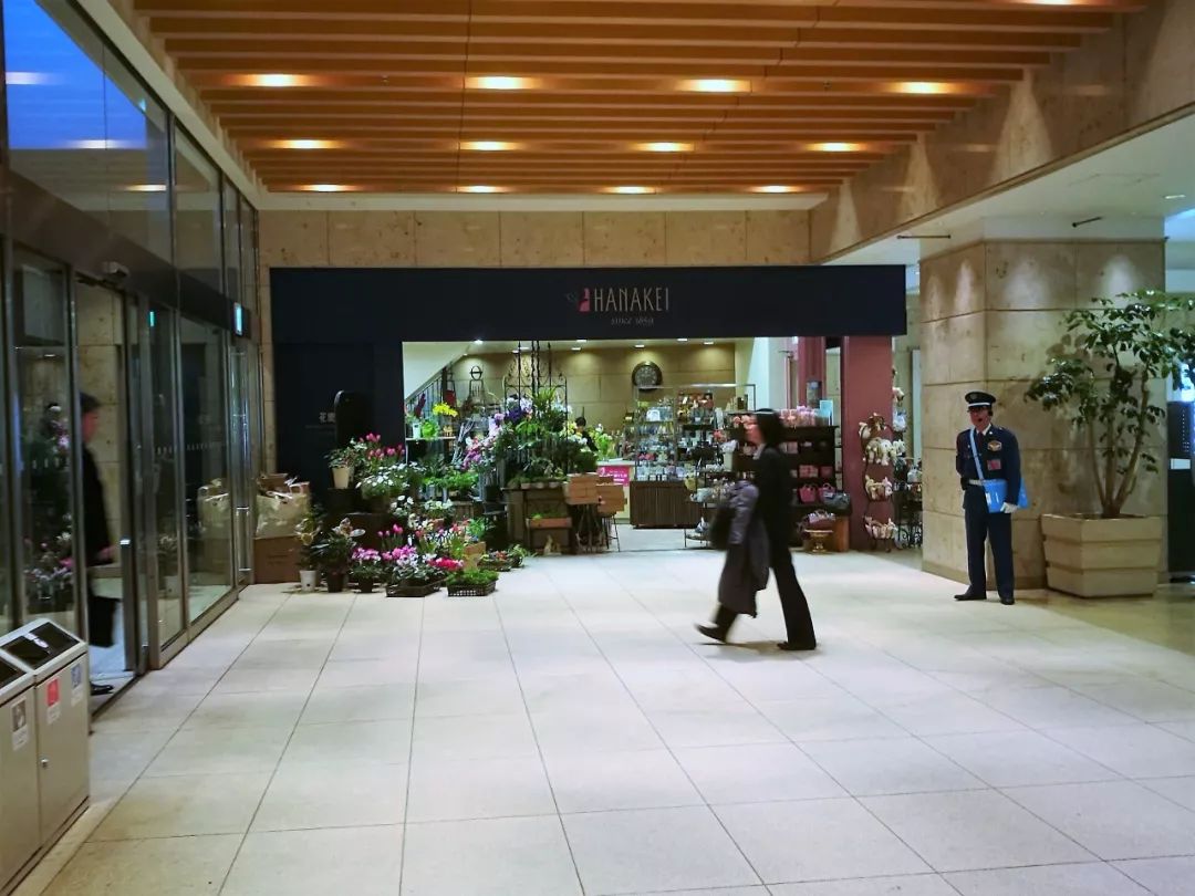 花店之旅,日本花店的真实感受