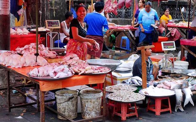 游客来到了缅甸菜市场，都是肉类但没有家禽，这是什么原因