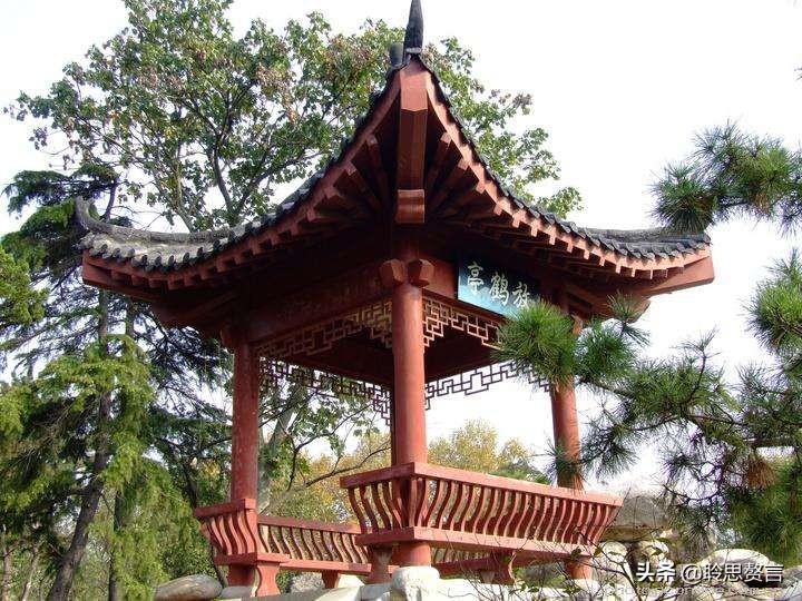 读苏东坡传写读书笔记,读诵苏东坡诗词