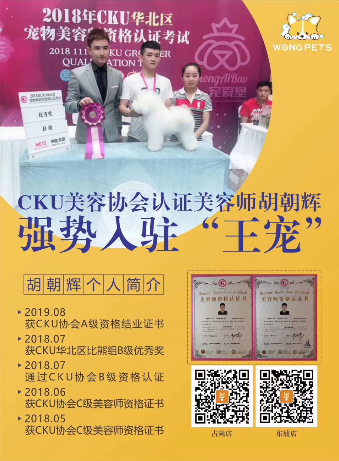 该如何开好一家宠物店呢,如何开一家自己的宠物店