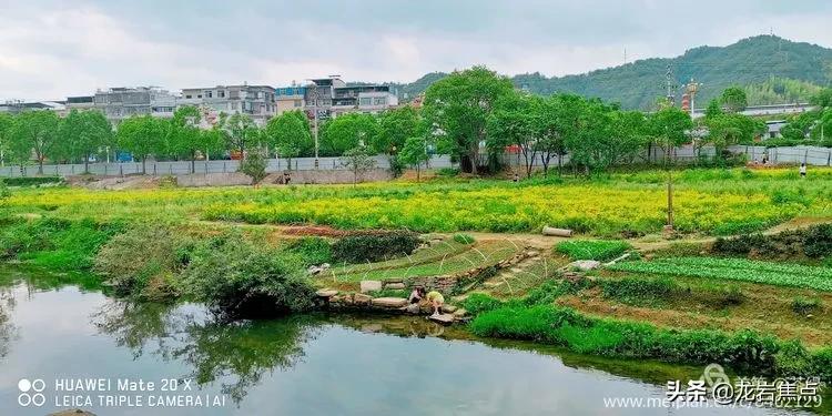 长汀一日游的视频,长汀自驾游攻略一日游