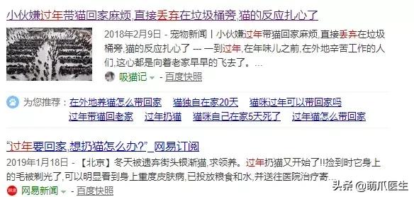 假期出行猫咪怎么安置,出去游玩5天猫咪该怎么办