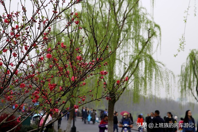 周末微旅行第一季,周末微旅行石湖