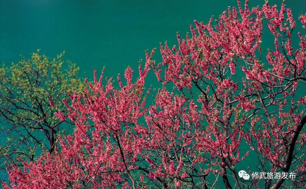 修武，向全世界发出邀请！这个古老的小城，原来可以这么美（惊艳版）