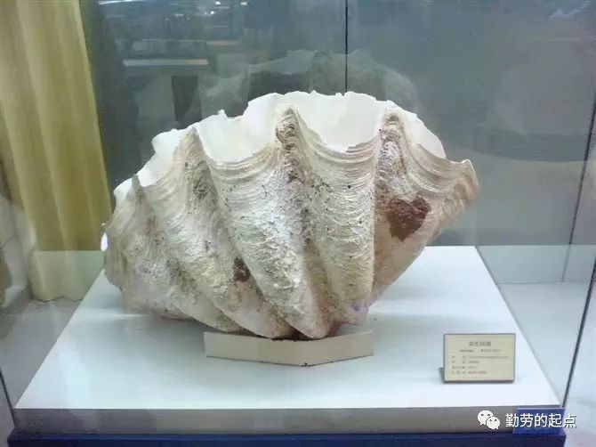 有品位的人都爱逛博物馆,有品位的人都爱去博物馆