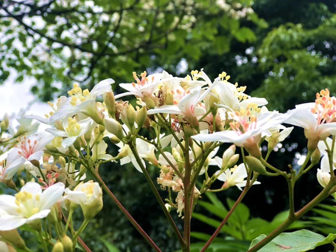 平天山航拍,卫星航拍平天山