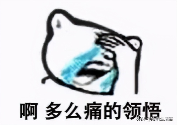 最新扬州东关街停车推荐,扬州打卡测评