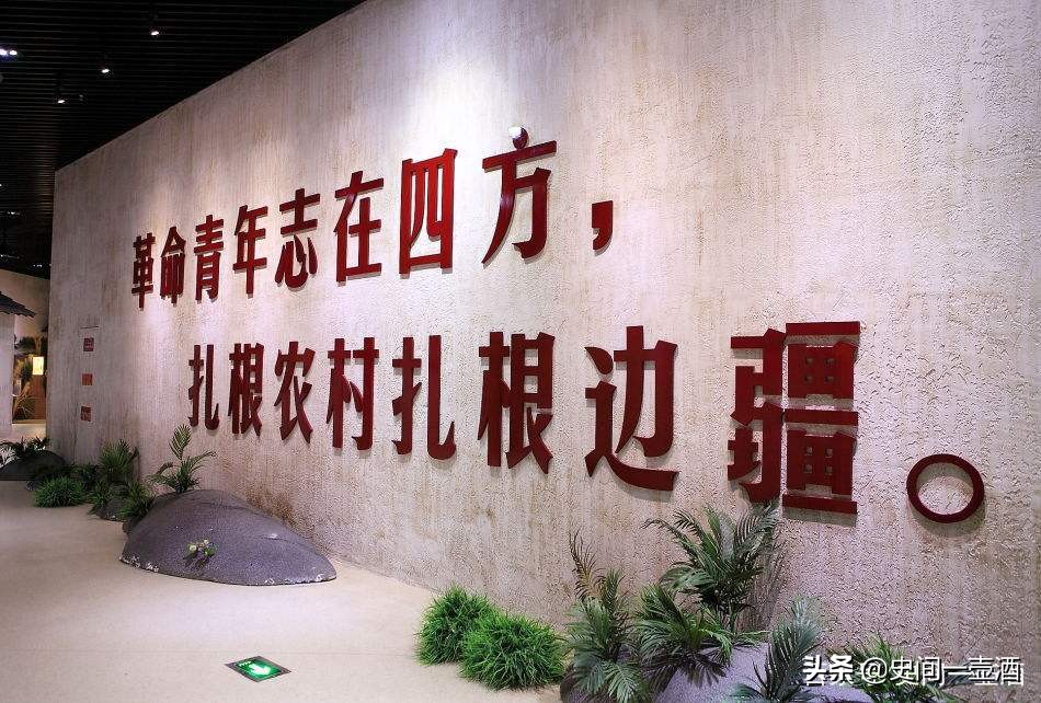 江苏一区是哪里的,江苏大丰麋鹿之乡