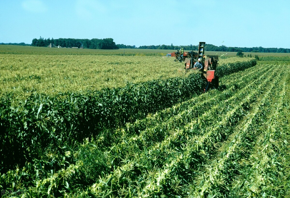 衡阳市获批项目,衡阳高标准农田建设项目