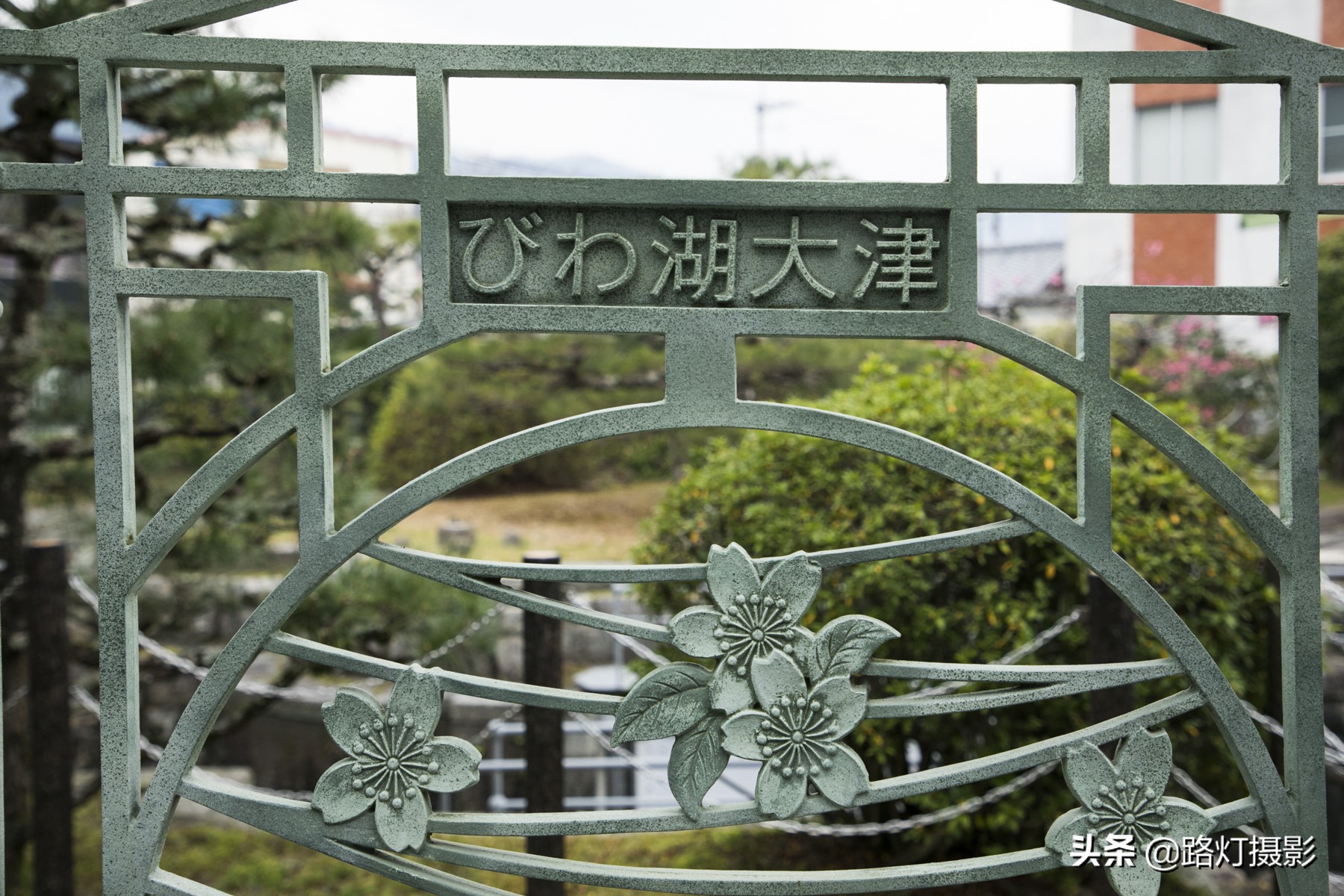 2020日本赏樱花路线,赏樱季去日本看全球最美樱花