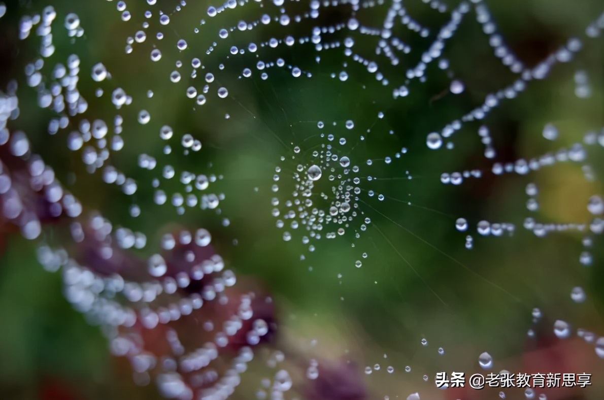 你想要什么就会被什么所牵绊,你想要什么你就会注意到什么