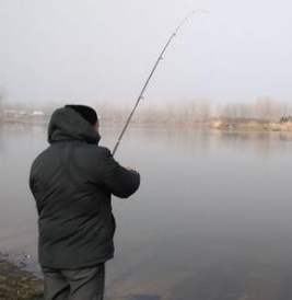 抬竿如何逗钓,传统钓怎么抬竿