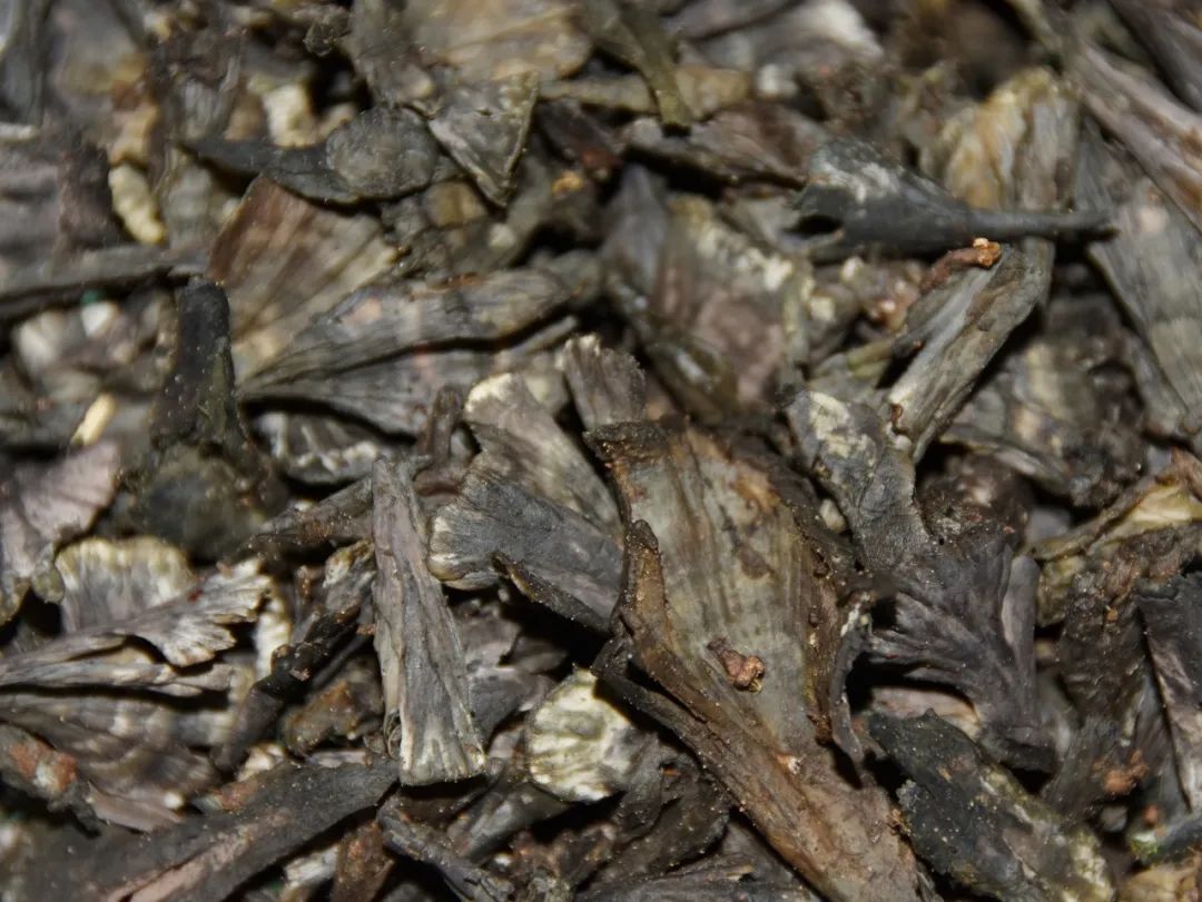 最新十大野生菌,野生菌陆续上市质优价稳