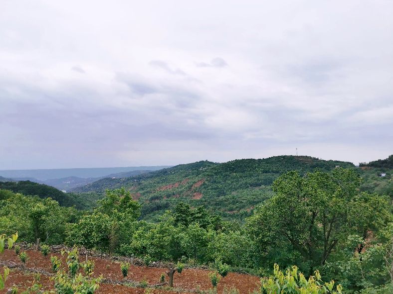 西安洪庆焚书坑儒,洪庆山焚书坑儒