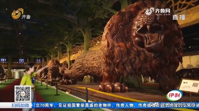 2019年，济南、德州、北京……所有人这样评价齐河