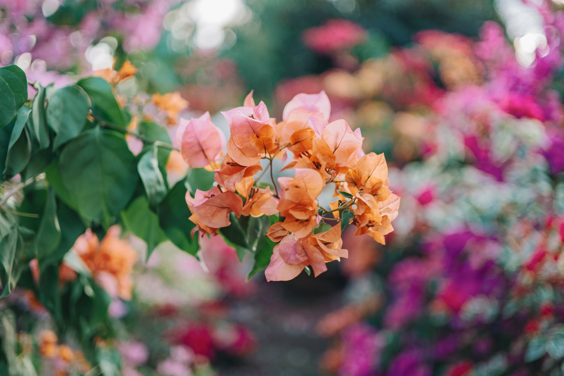 男人要怎么样学会哄女孩子,男人如何一步步哄女人视频