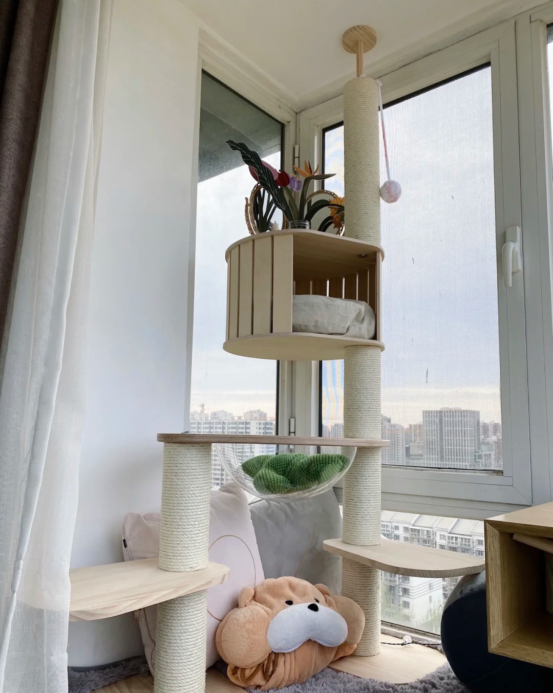 装修分享|养猫指南：铲屎官必看家装攻略