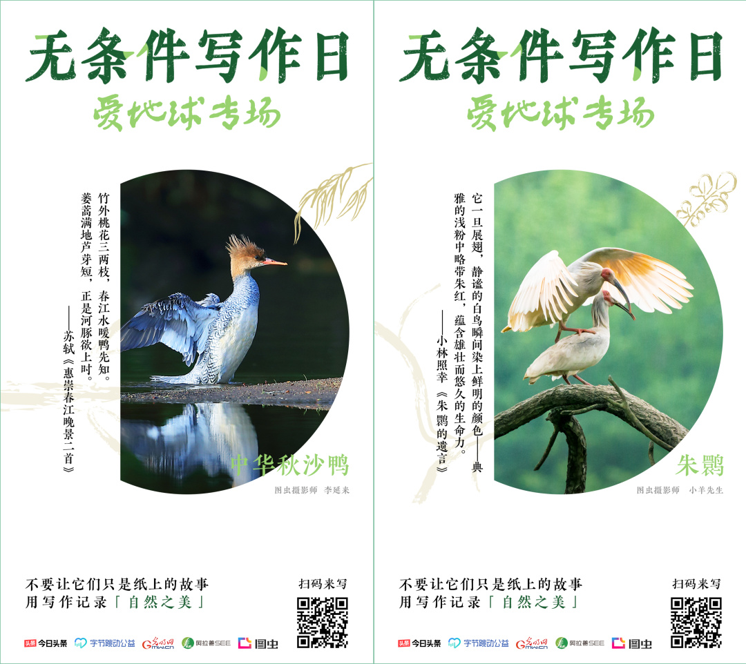 一个云南人如何成为最多产的“西方”博物学家?