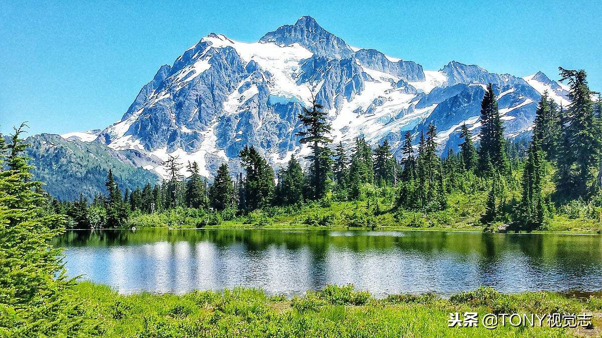 佳能相机新手推荐哪一款,尼康佳能单反哪款最好