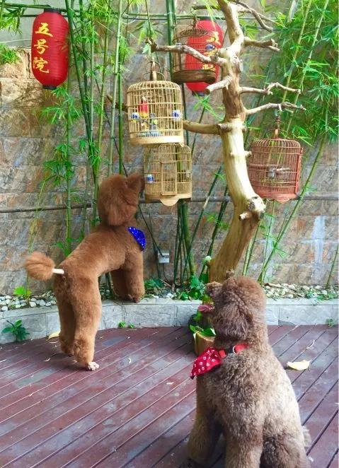 珠海香洲合亨私房菜馆,珠海适合家庭小聚的私房菜馆