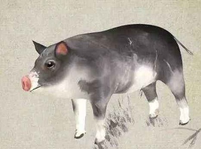 风水知识大全本命年,本命年风水知识大全