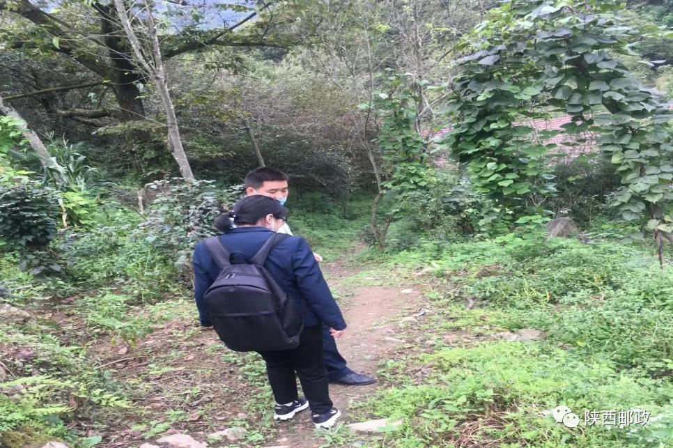 为群众办实事提供优质服务,服务群众为群众办实事