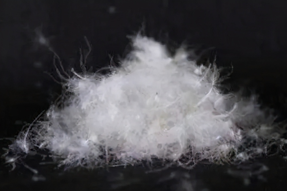 鹅绒被蚕丝被羊毛被大豆被,鹅绒被鸭绒被