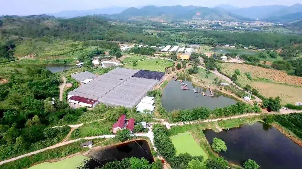 始兴市区游玩攻略,韶关始兴县旅游攻略