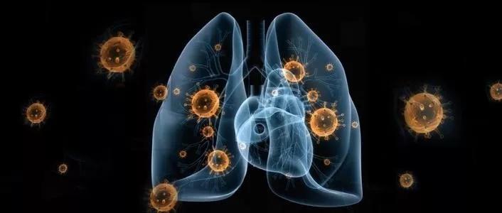 防控新型冠状病毒请您这样做,新型冠状病毒防控方案最新版